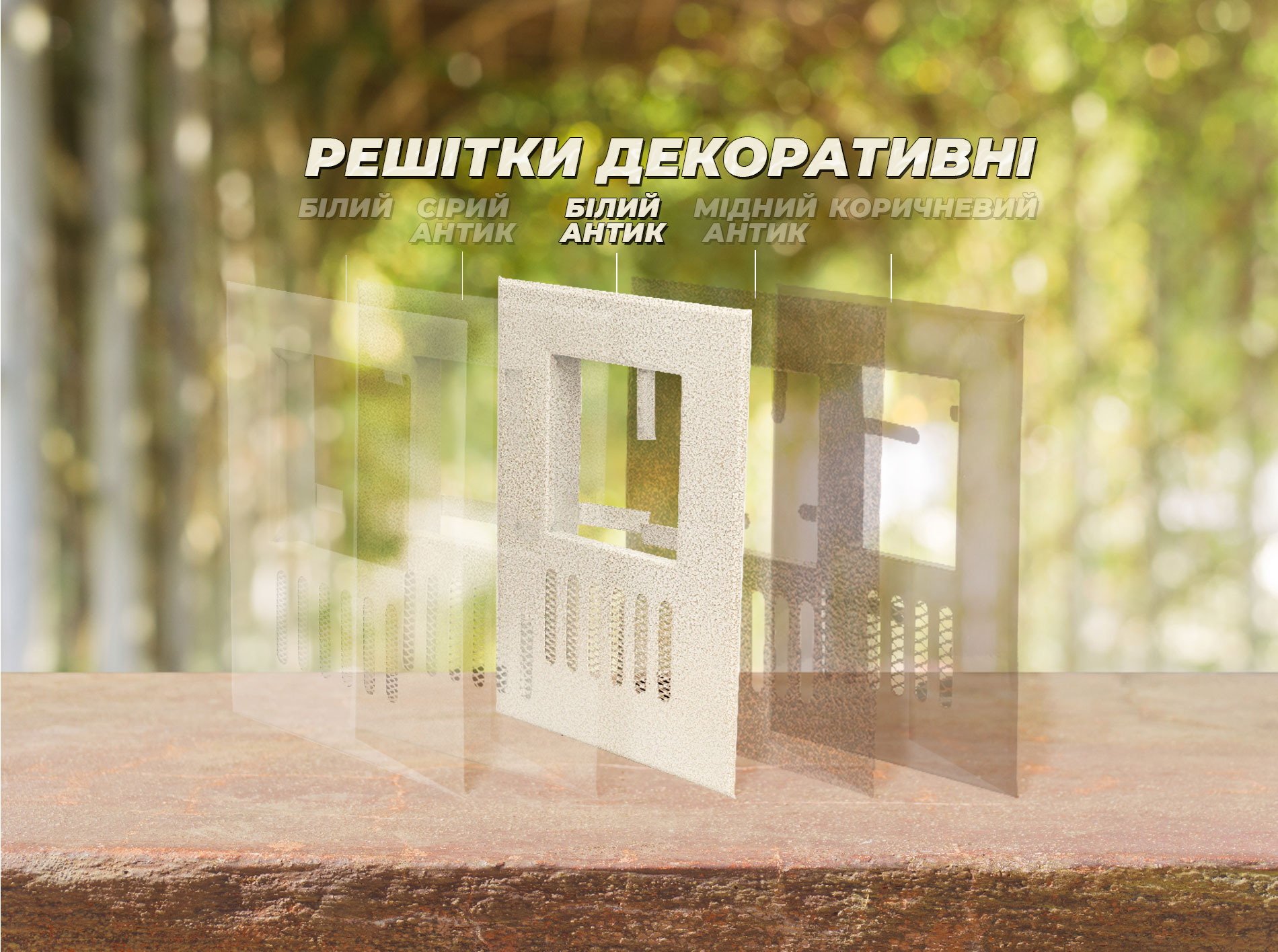 reshitka_wt_ant_web_01